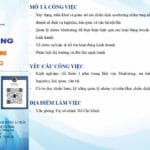 Tuyển dụng Trưởng nhóm Marketing