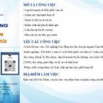 Tuyển dụng Trưởng nhóm điều phối vận tải